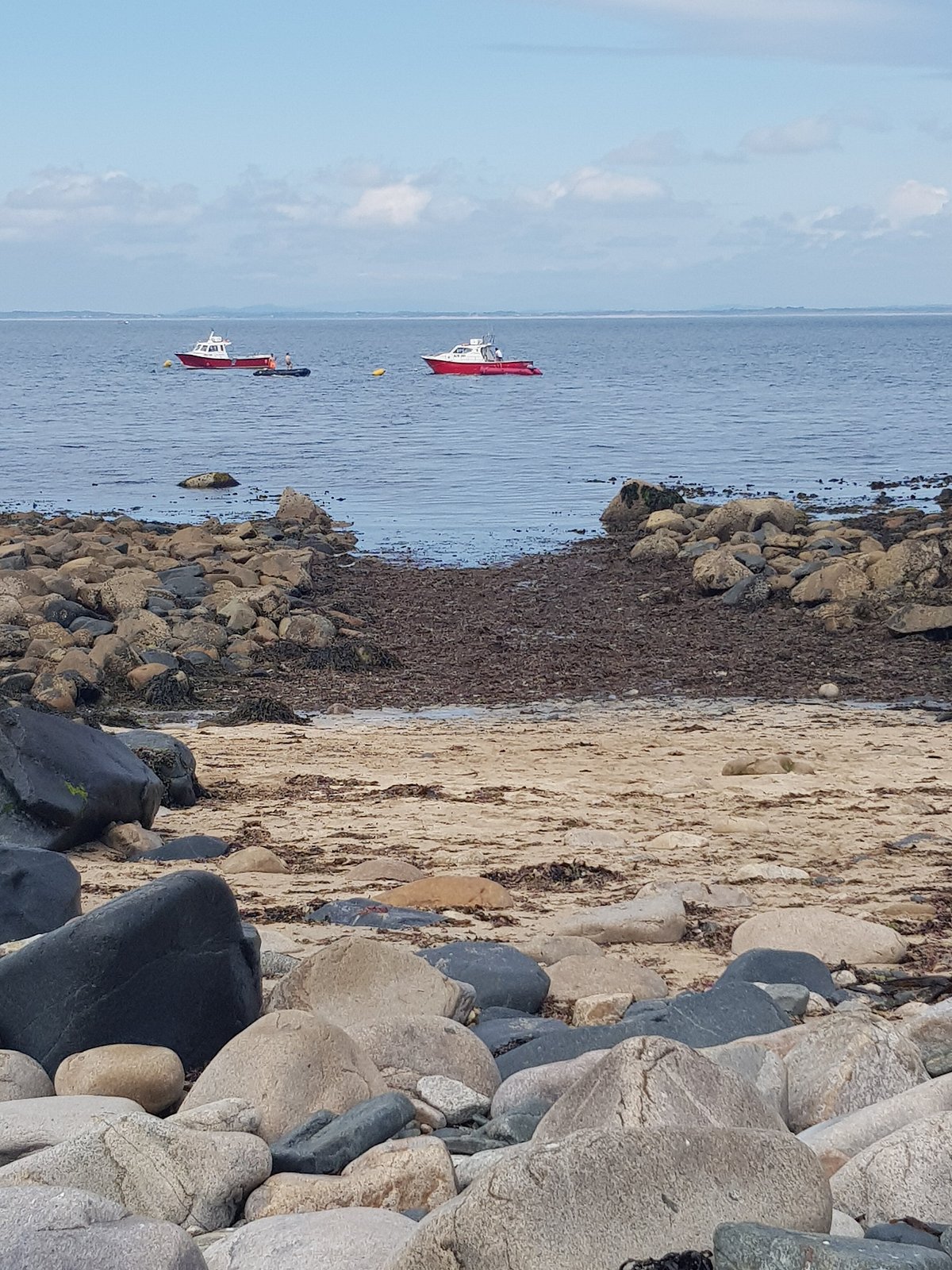 Saltee Ferry (Wexford) - All You Need to Know BEFORE You Go