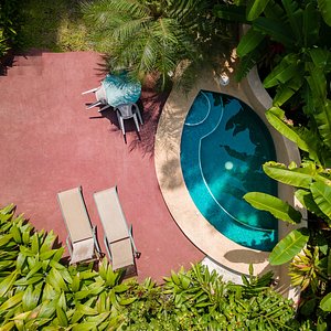 Private plunge pool at Casa Bromelia