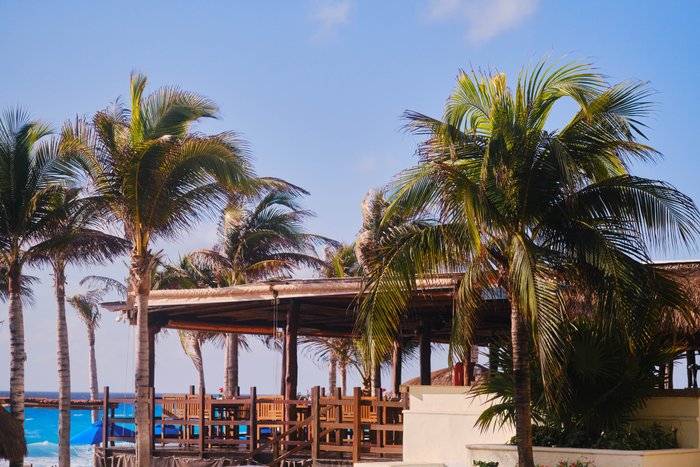 Imagen 11 de Hotel NYX Cancun