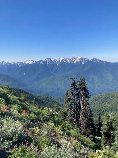 Olympic National Park review images