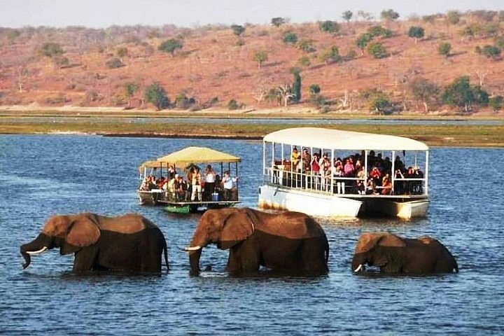 safari trip in livingstone