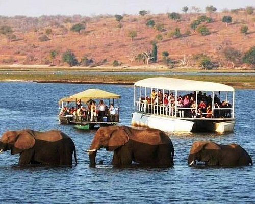 botswana water safari