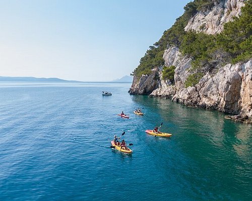 delfin tours makarska