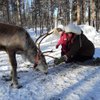Suvi