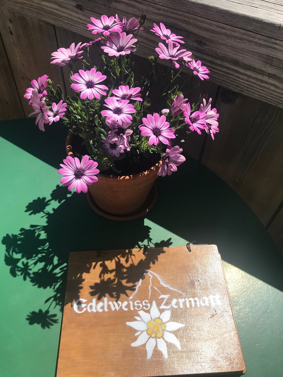 Pension Edelweiss Zermatt ツェルマット 口コミ 宿泊予約 トリップアドバイザー Pension Edelweiss Zermatt ツェルマット 口コミ 宿泊予約 トリップアドバイザー