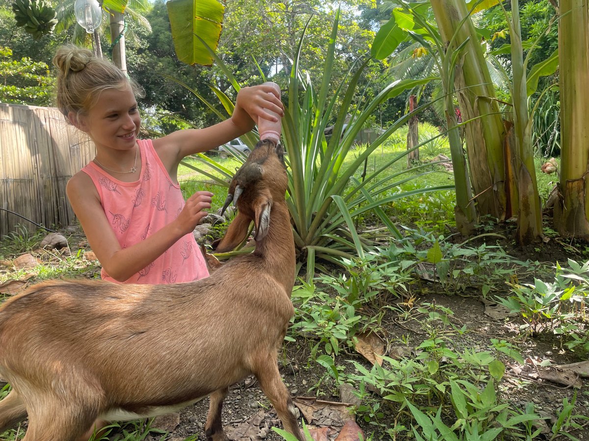 COPROT Tortugas de Osa, Carate: лучшие советы перед посещением - Tripadvisor