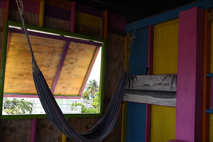 travellers palm hostel caye caulker