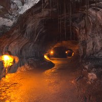 Nahuku - Thurston Lava Tube (Hawaii Volcanoes National Park) - All You ...