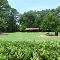 Swan Lake Iris Gardens (Sumter) - All You Need to Know BEFORE You Go