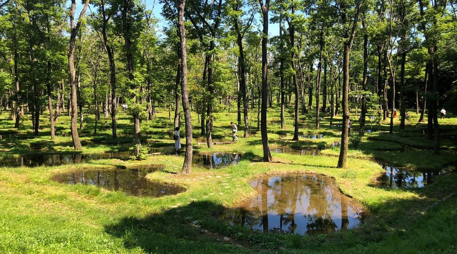 It seems to be a scenery that doesn't exist in nature. The trees that are planted are deciduous trees. They don't seem to grow at the waterfront because their roots are easy to rot. So this place is established artificially. But they look harmonious.