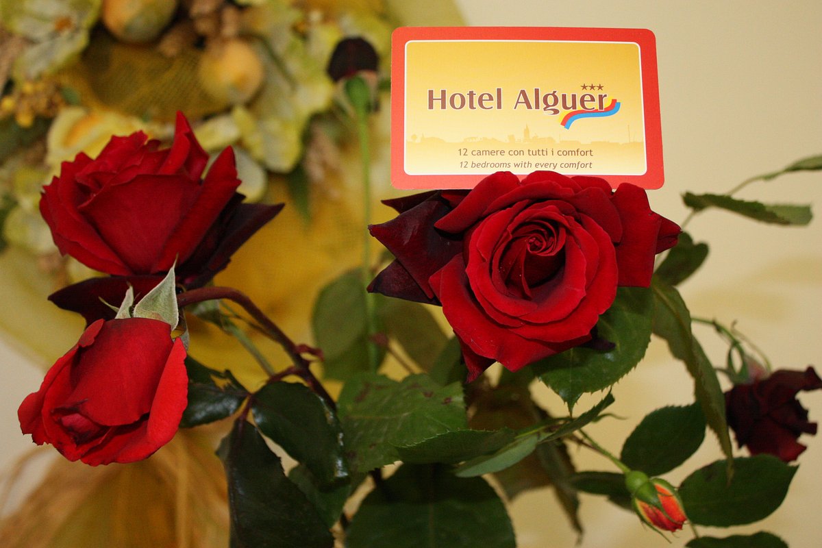 Hotel Alguer, hôtel à Alghero