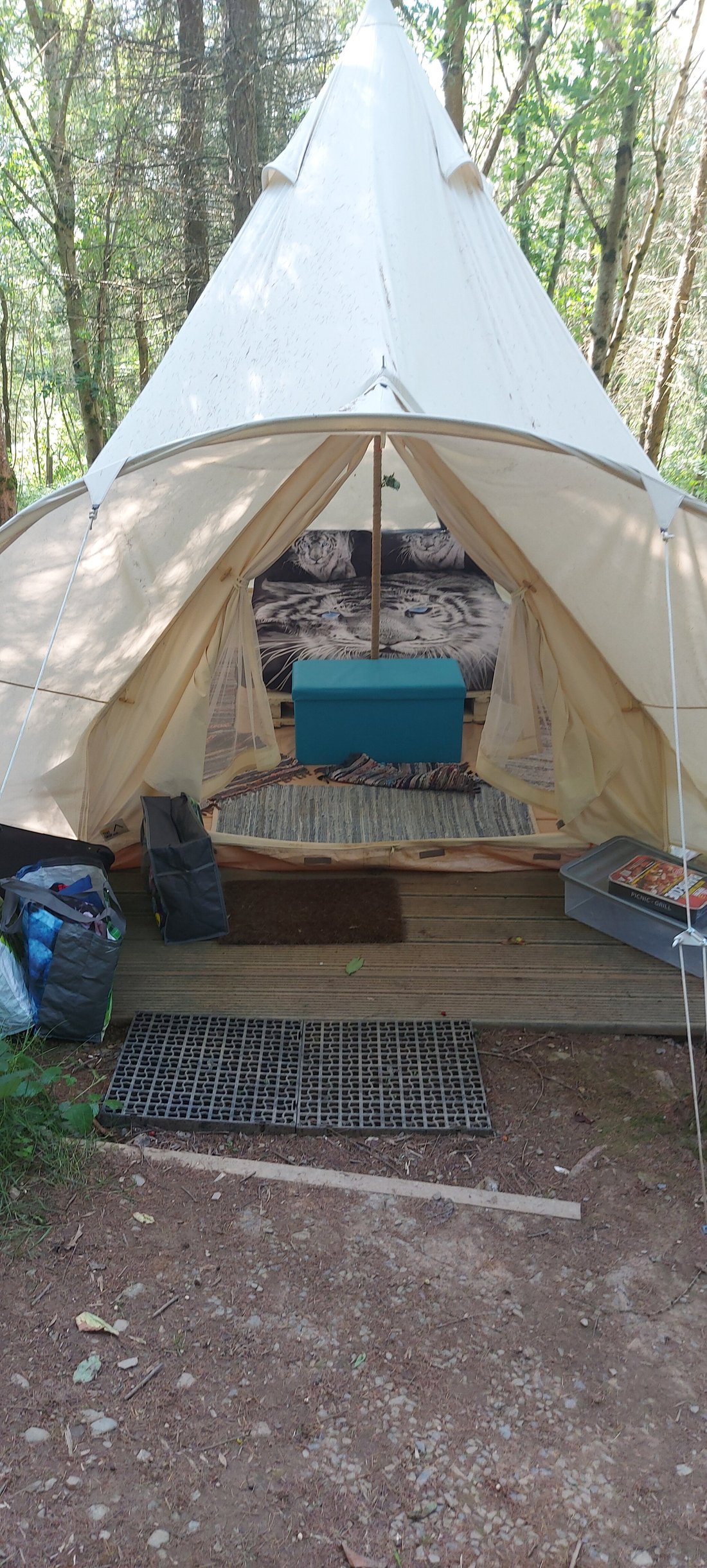 Y’GELLI CAMPING (Llanybydder) - Campground Reviews & Photos - Tripadvisor