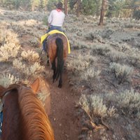 Grand Canyon Apache Stables (Tusayan) - All You Need to Know BEFORE You Go