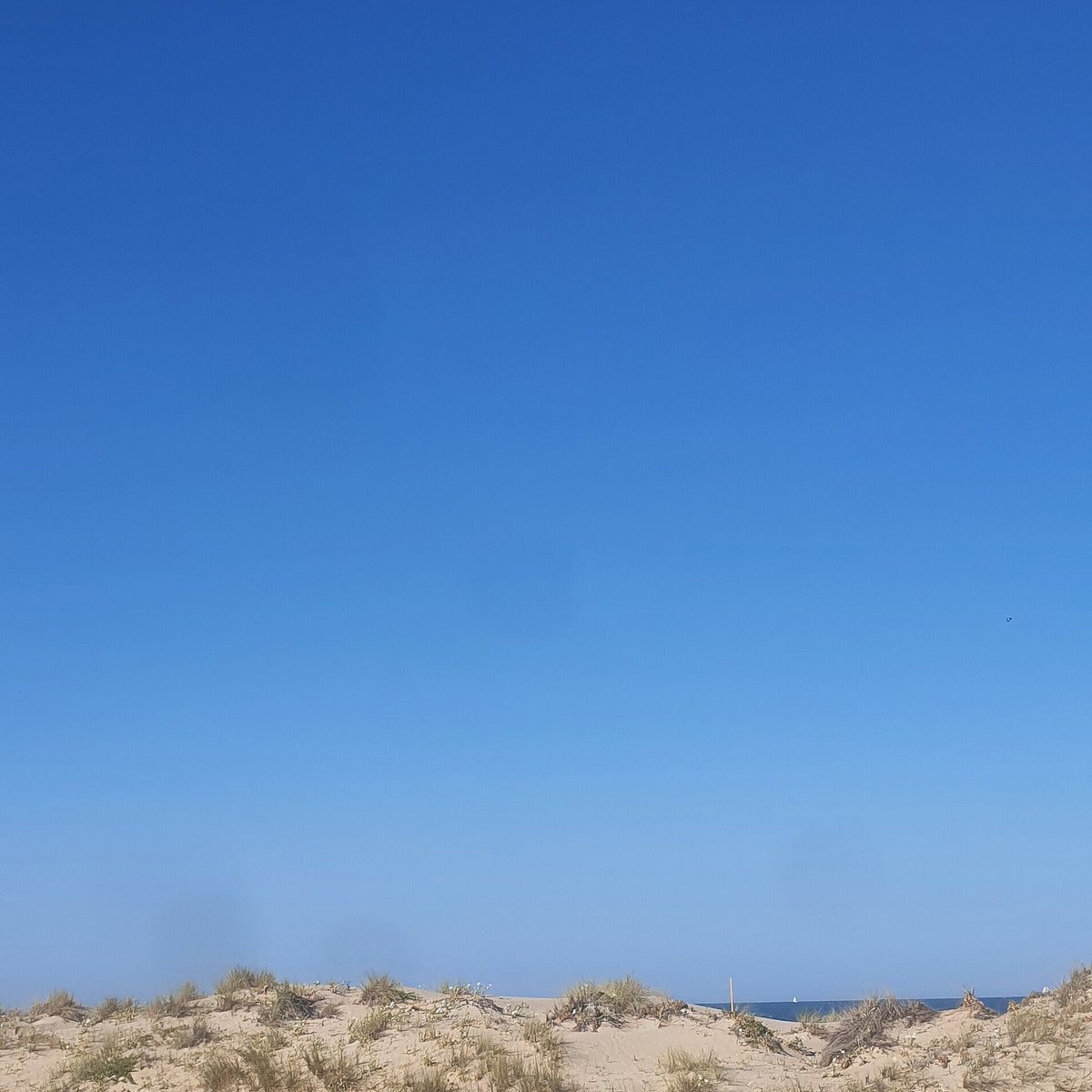 Playa Del Chato Cádiz 2022 Qué Saber Antes De Ir Lo Más Comentado Por La Gente Tripadvisor