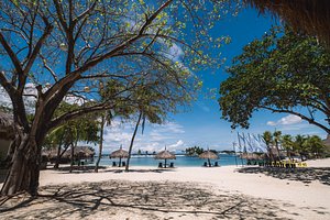 Bluewater Maribago Beach Resort in Mactan Island