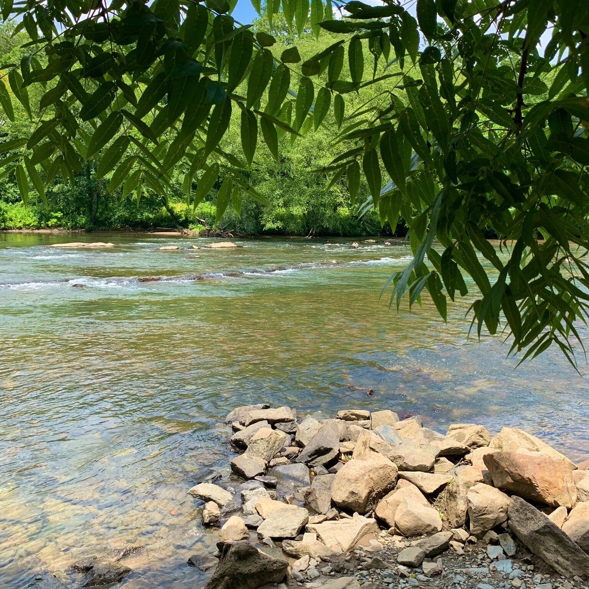 RON HENRY HORSESHOE BEND PARK (Mineral Bluff) - What to Know BEFORE You Go