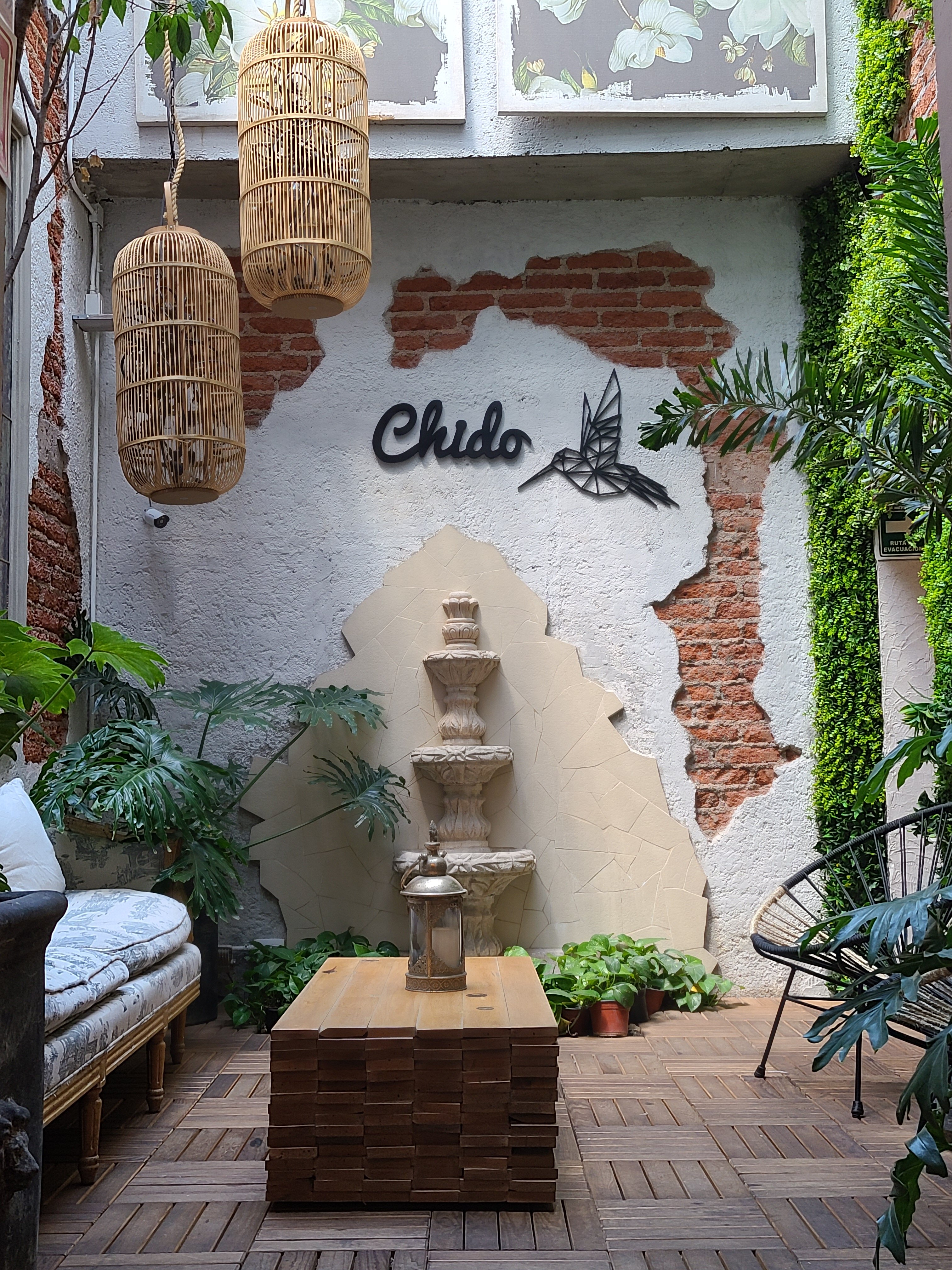 CASA KANABRI HOSTAL BOUTIQUE Prices Hostel Reviews Mexico City