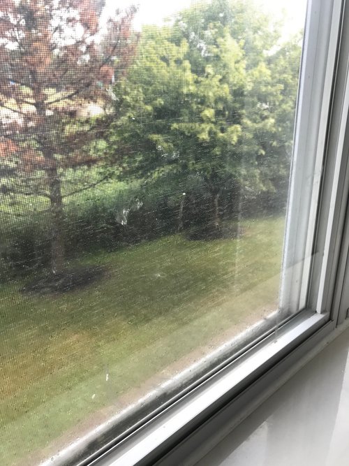 RESIDENCE INN CLEVELAND MENTOR Prices Hotel Reviews (Ohio)