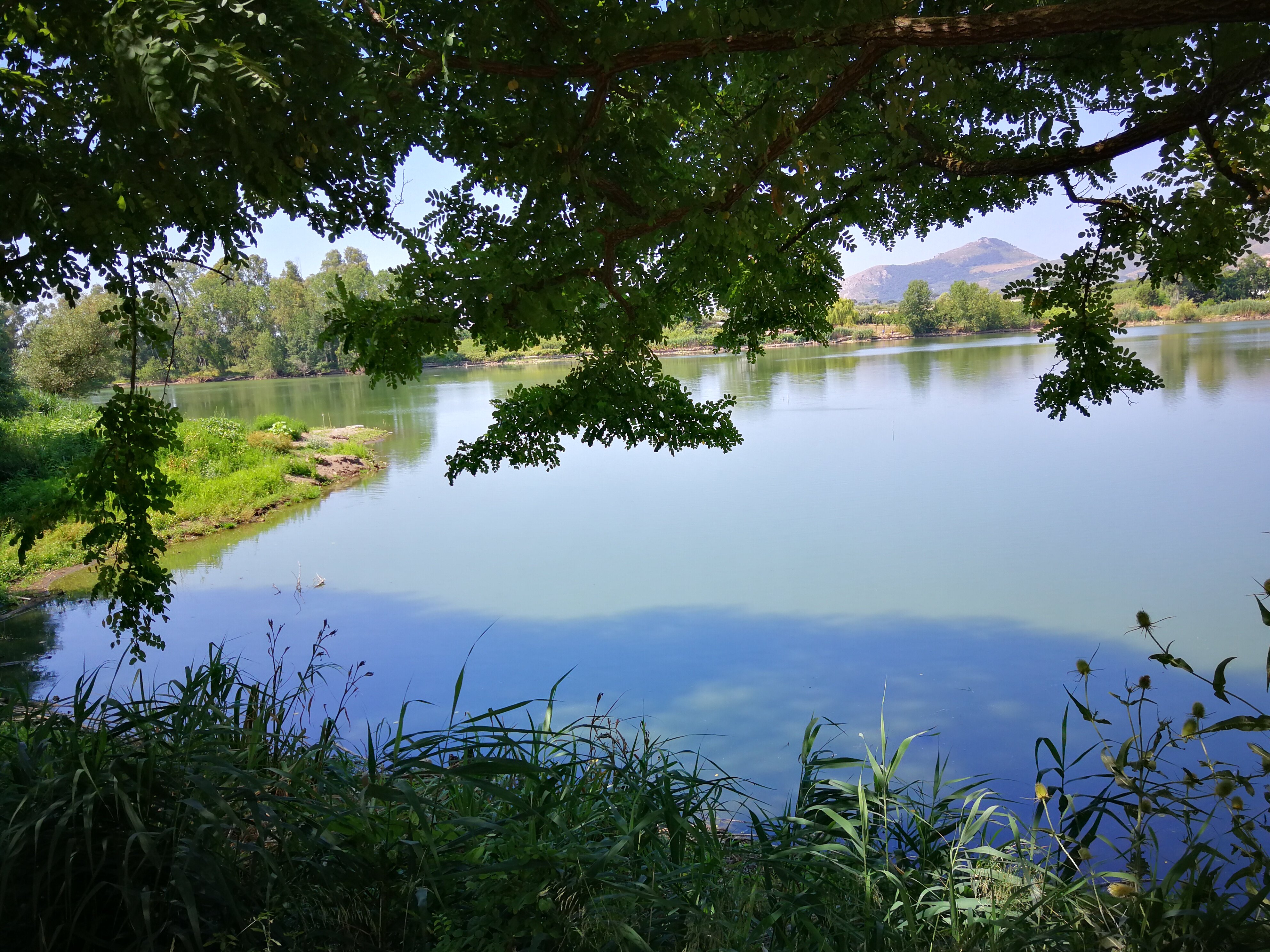 Riserva Naturale Lago Di Falciano (Falciano Del Massico) : 2022 Ce Qu ...