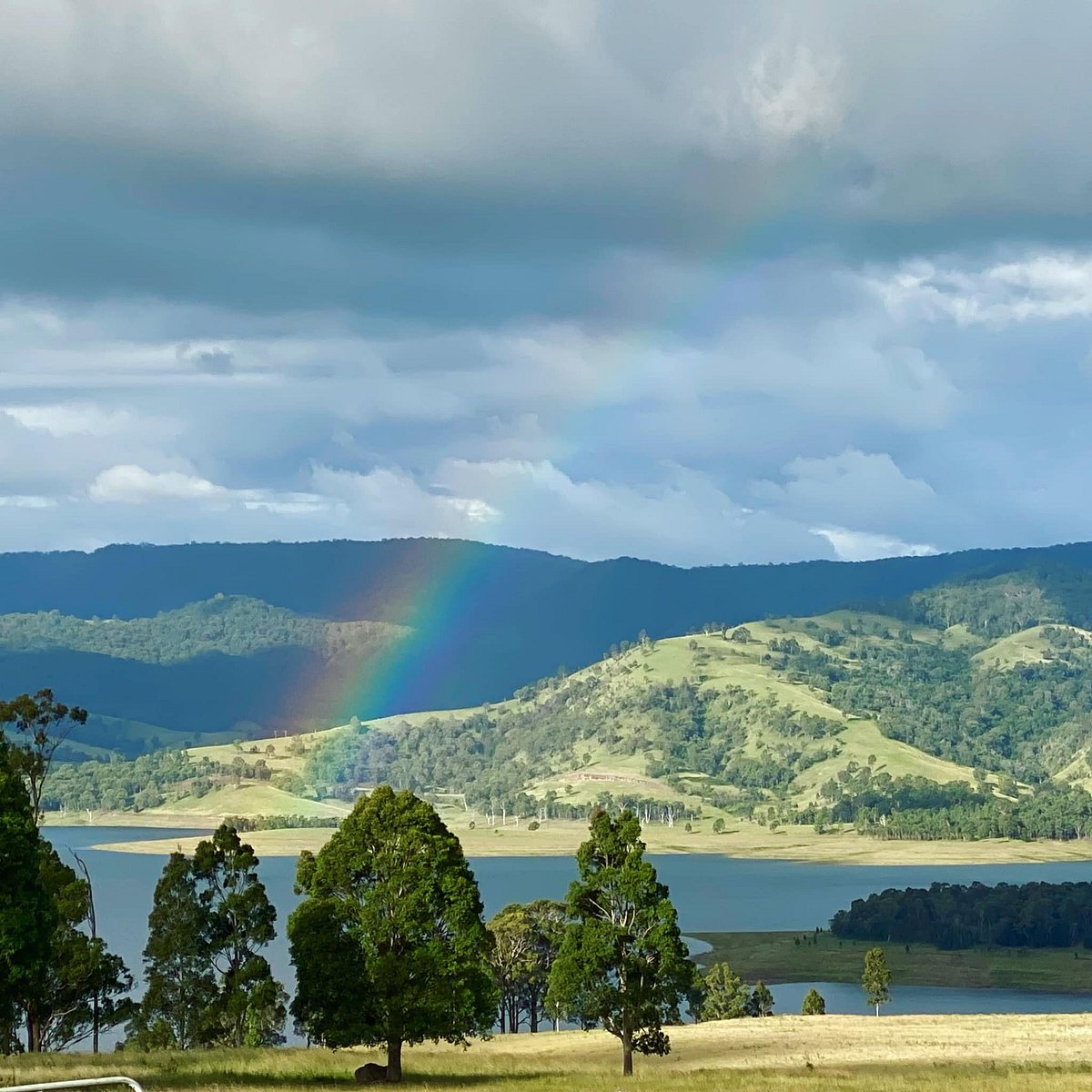 NSW: Bass fishing at Lake St Clair