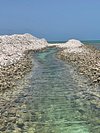 Horseshoe Reef (Anegada) - to BEFORE You Go