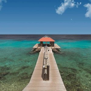 Bonaire ScubaDiving Diving Boat DiviDive Pier Boat