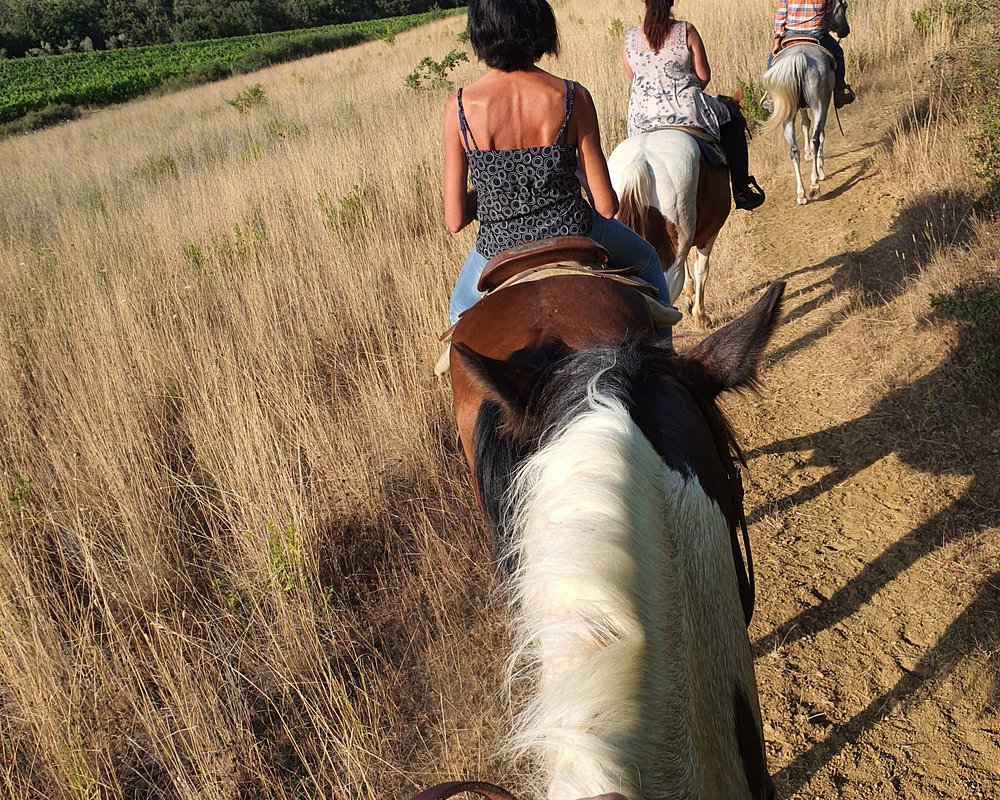 horseback riding tours in tuscany