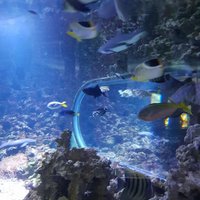 Bergen Aquarium - All You Need to Know BEFORE You Go