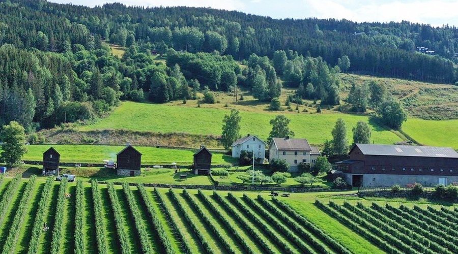 The farm lies just beside the skiresort of Hafjell