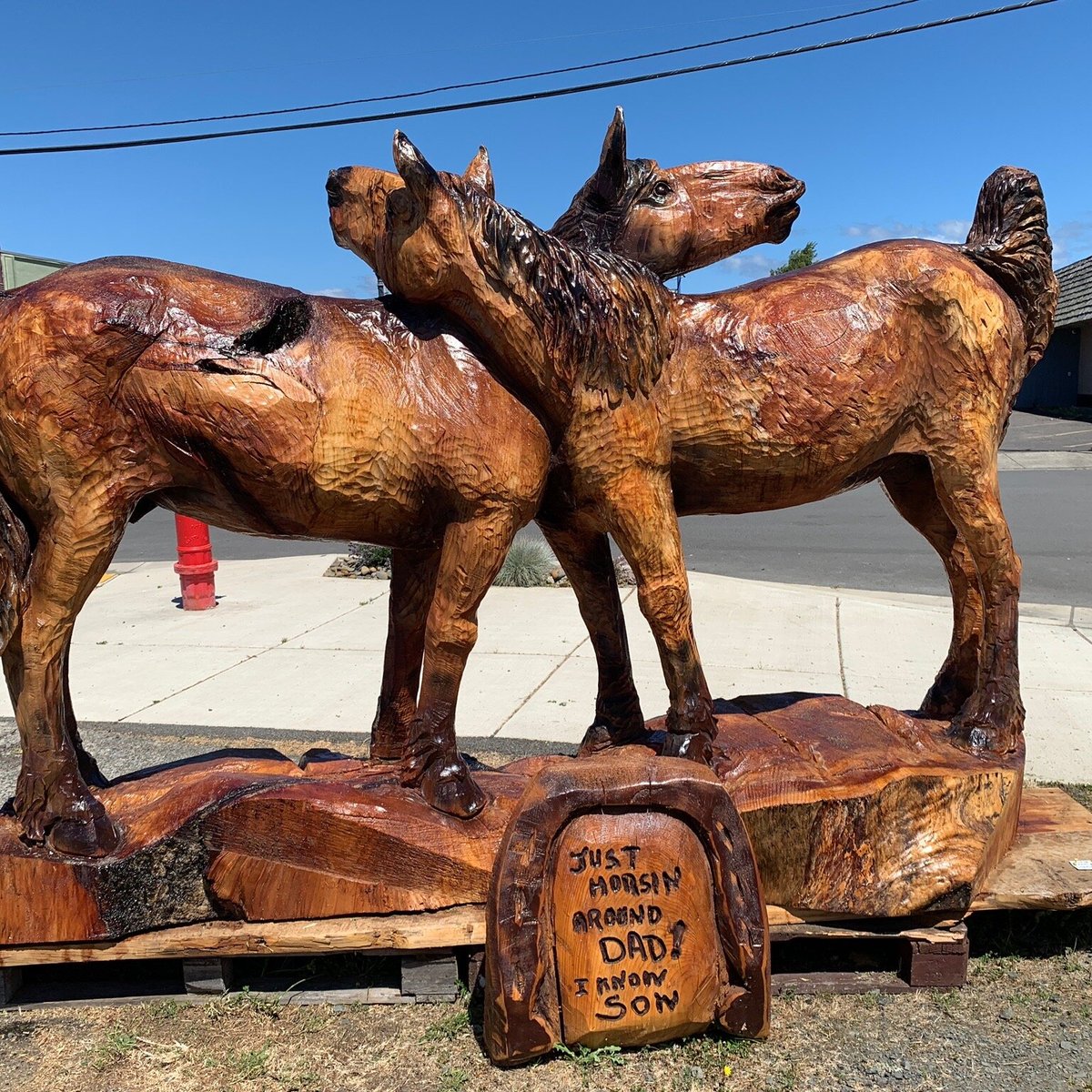 ELLIE'S CHAINSAW CARVING GALLERY (Reedsport) Tutto quello che c'è da