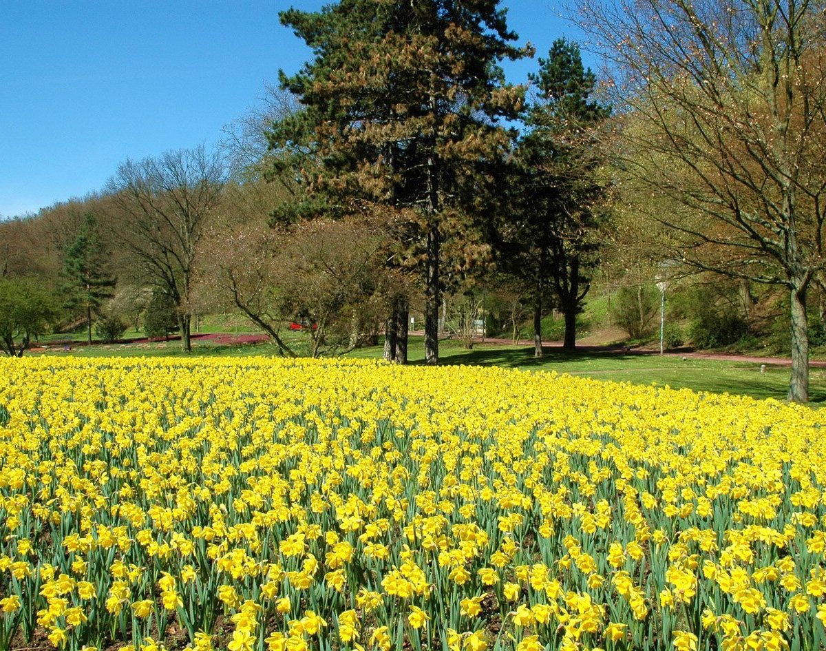 DeutschFranzösischer Garten (Saarbrücken) Aktuelle 2022 Lohnt es
