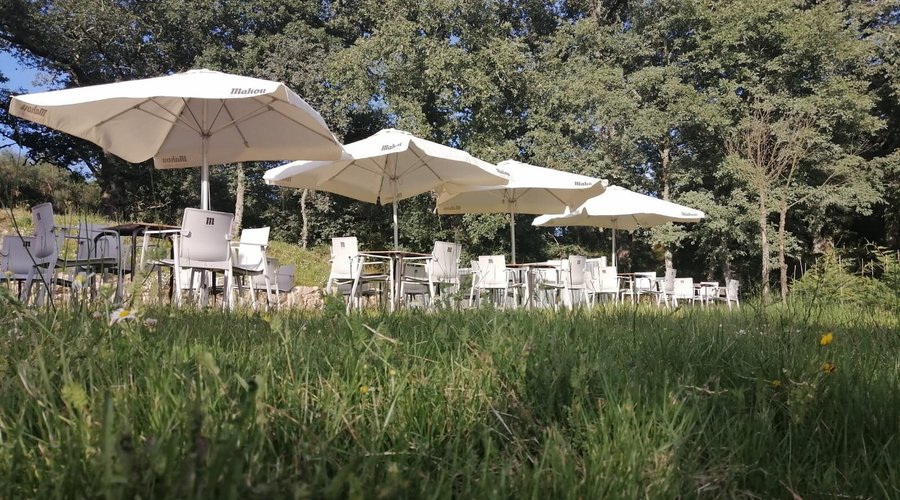 Jardín