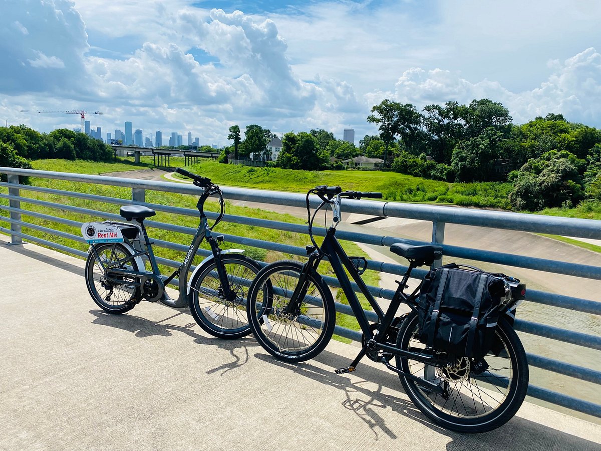 pedego buffalo