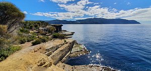 Fossil Bay Lookout (Eaglehawk Neck): All You Need to Know