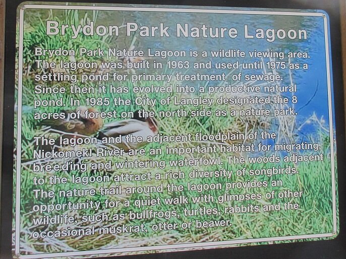 Brydon Lagoon image