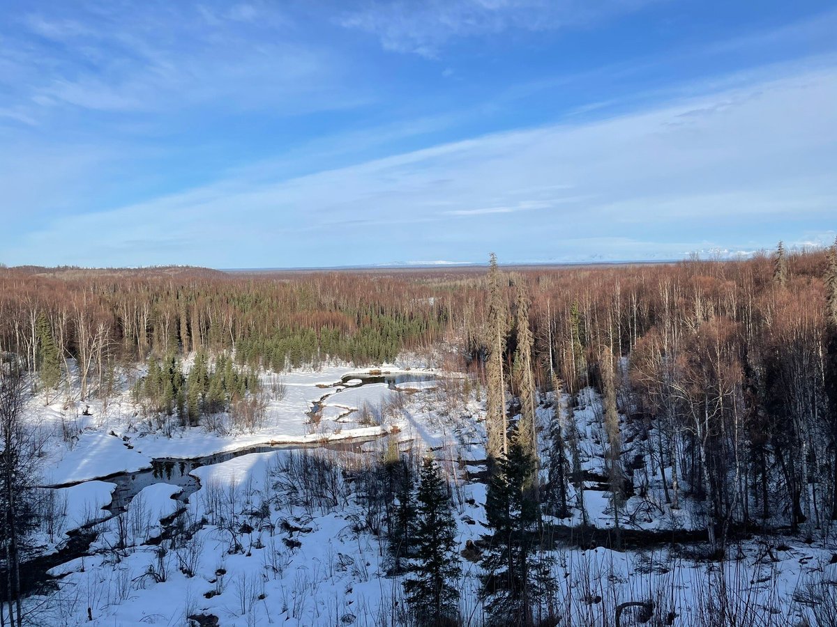 TALKEETNA DENALI VIEW LODGE & CABINS - Reviews (Alaska)