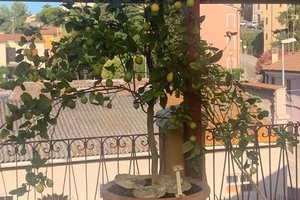 Ristorazione