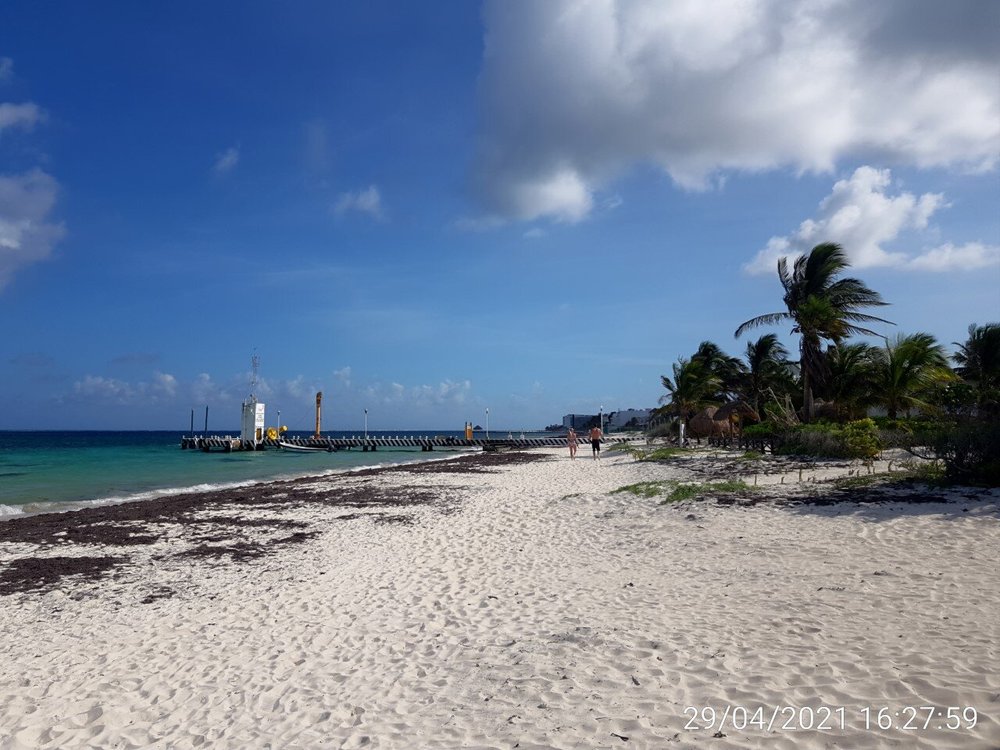 THE BEST Puerto Morelos Beaches (2024) - Tripadvisor