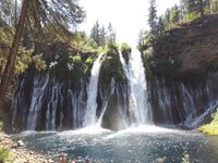 are dogs allowed at burney falls