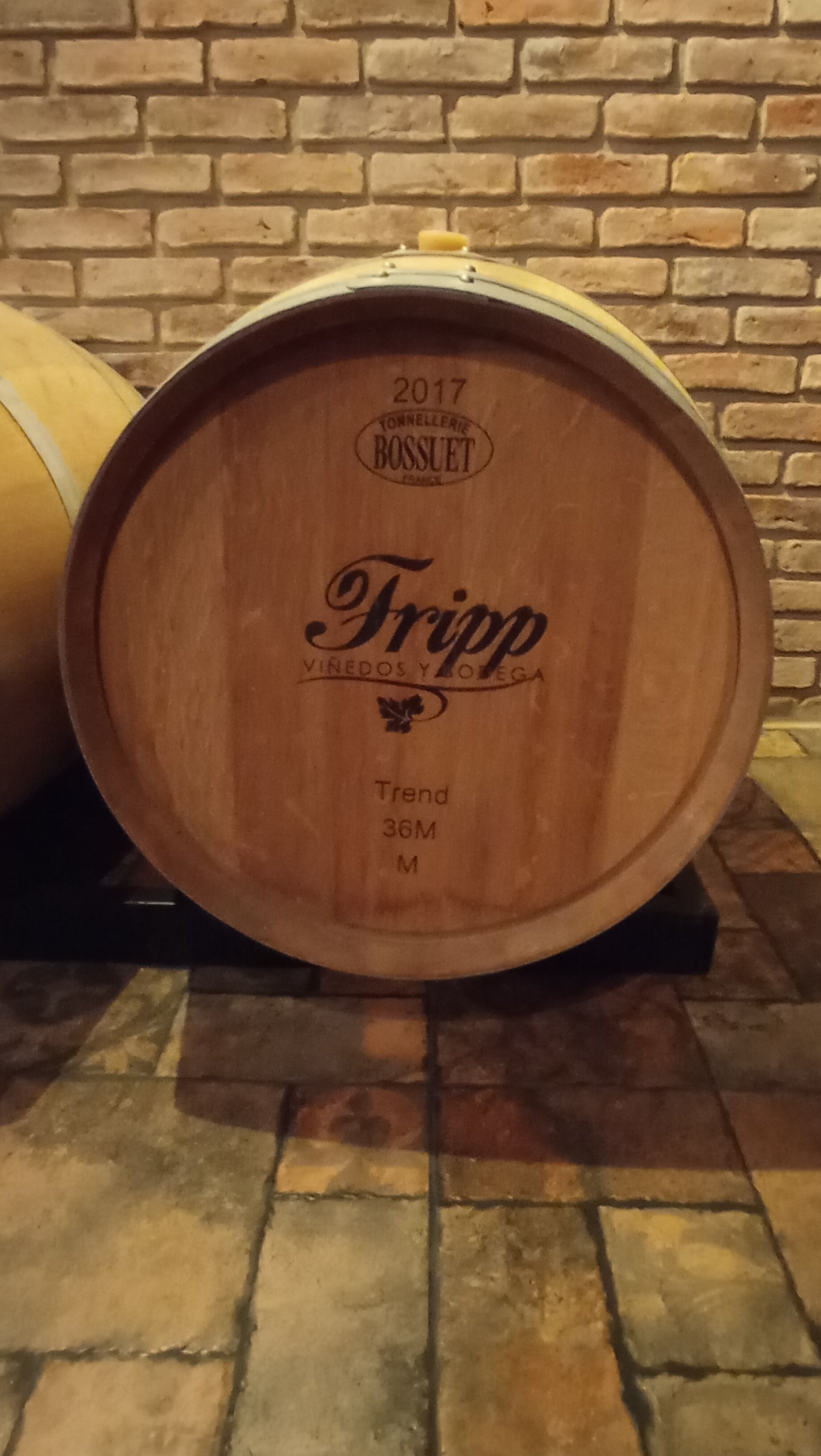 Fripp Viñedos Y Bodega (Conchillas) : 2022 Ce Qu'il Faut Savoir Pour ...