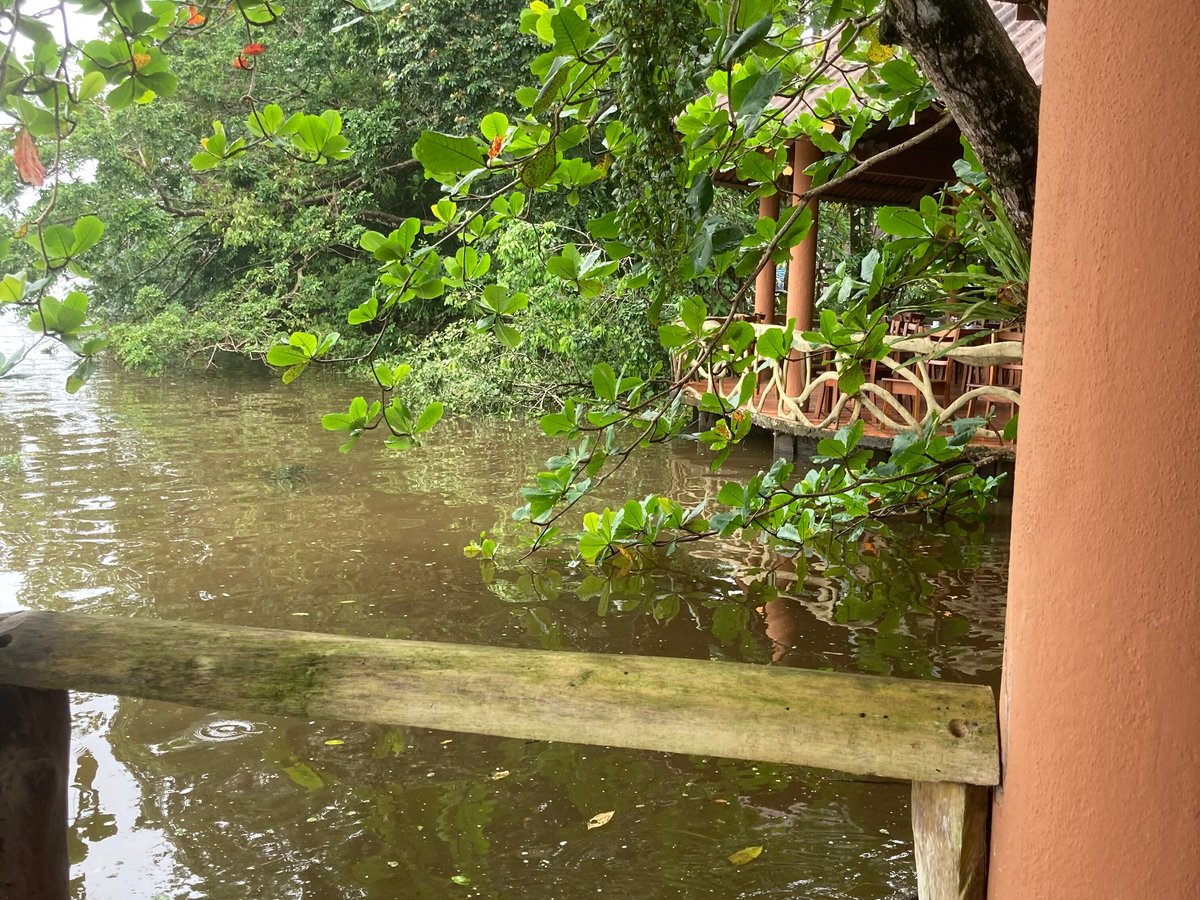 riverboat francesca nature tours