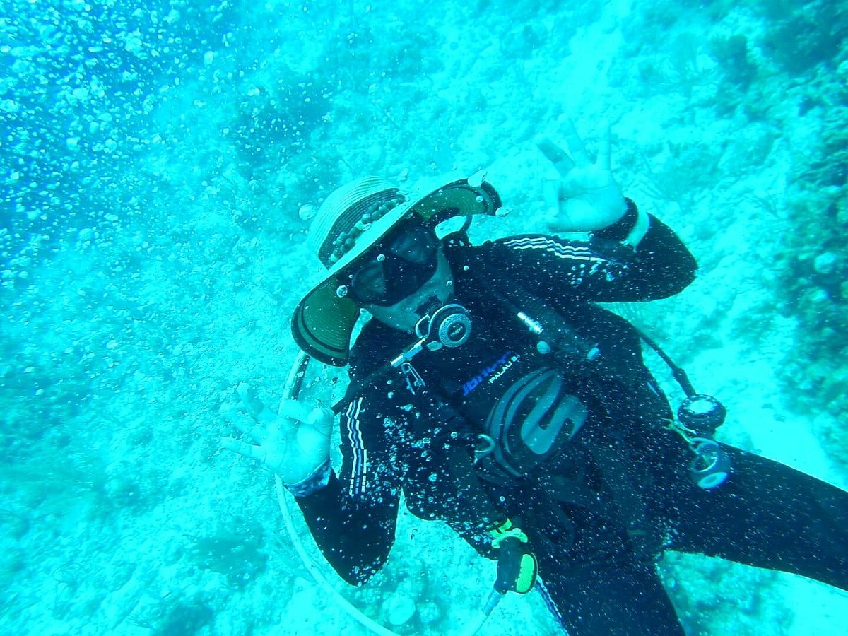 Aquanauts Dive Shop Puerto Aventuras All You Need To Know Before You Go Aquanauts Dive Shop Puerto Aventuras All You Need To Know Before You Go