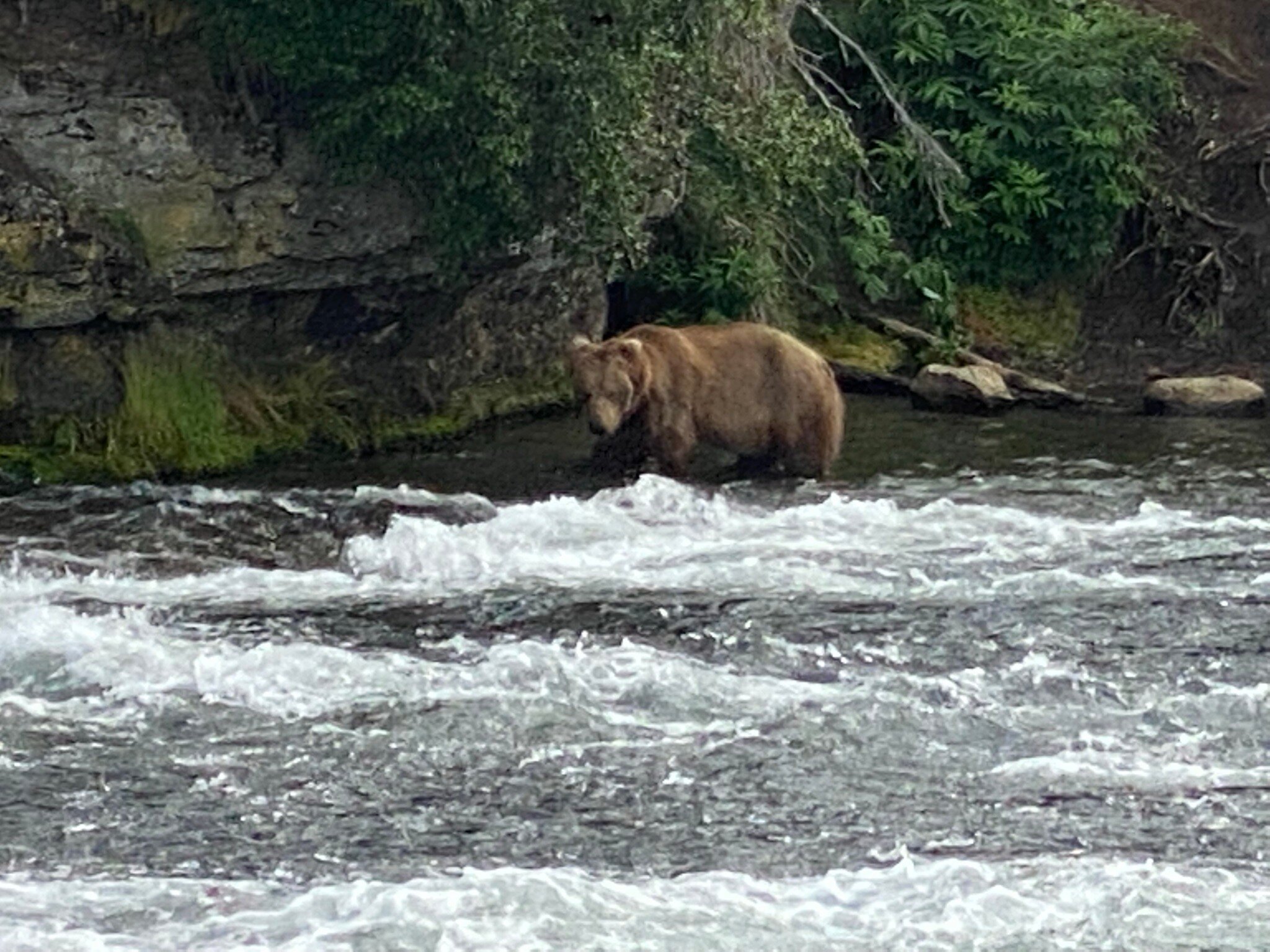 Brooks Falls (Katmai National Park And Preserve) - All You Need To Know ...