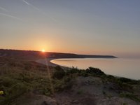 are dogs allowed on port eynon beach