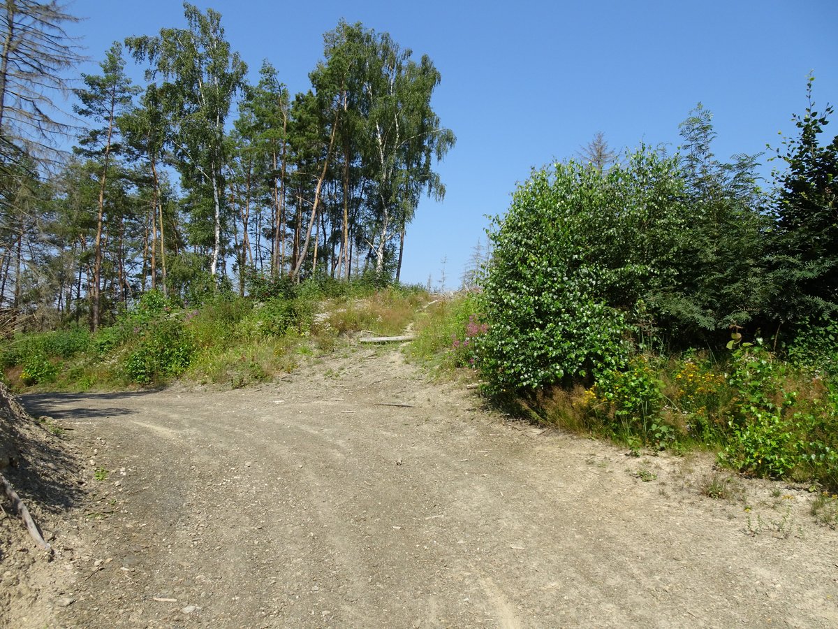 HARZER NATURISTENSTIEG (Sangerhausen): Ce qu'il faut savoir