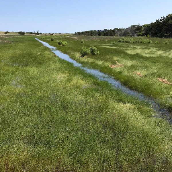 Crosby Landing Beach (Brewster) - All You Need to Know BEFORE You Go