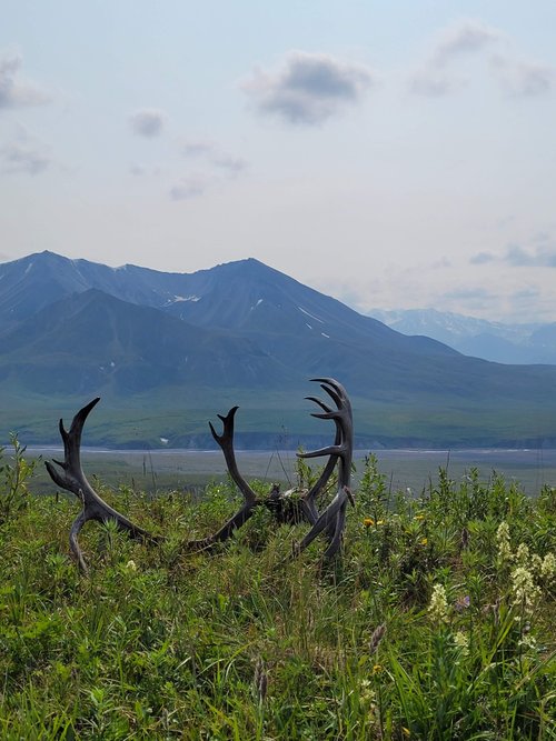 Denali National Park and Preserve EvilleGenius review images
