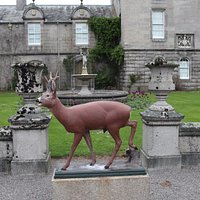 Balmoral Castle (Ballater) - All You Need to Know BEFORE You Go