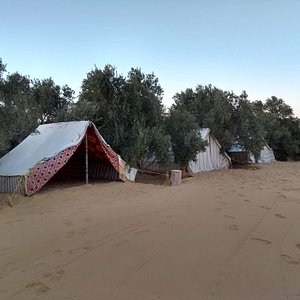 Mangrove Camp Fayoum in Al Fayyum