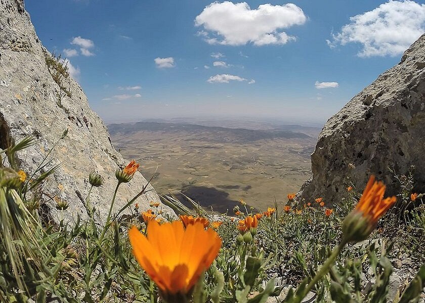Jebel Mghilla National Park image